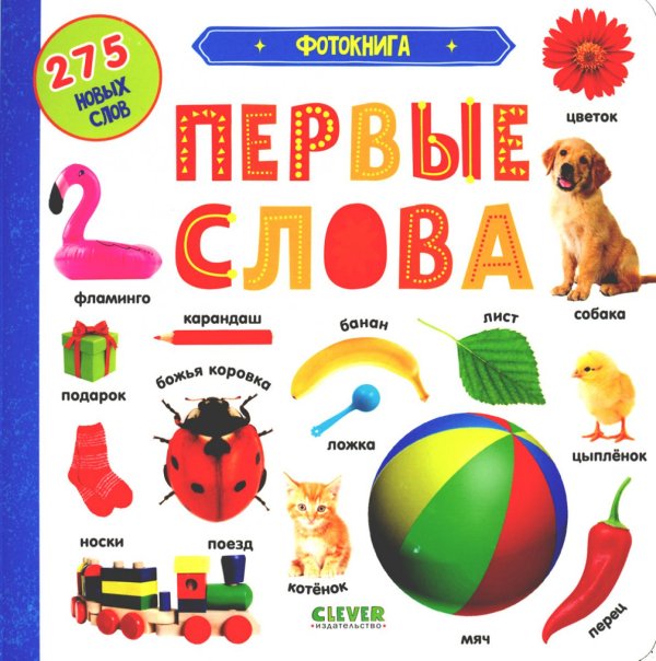 Первые знания. Фотокниги Фотокнига. Первые слова