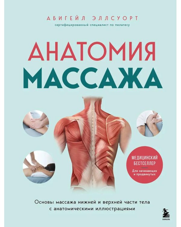 Анатомия массажа. Основы массажа нижней и верхней части тела с анатомическими иллюстрациями