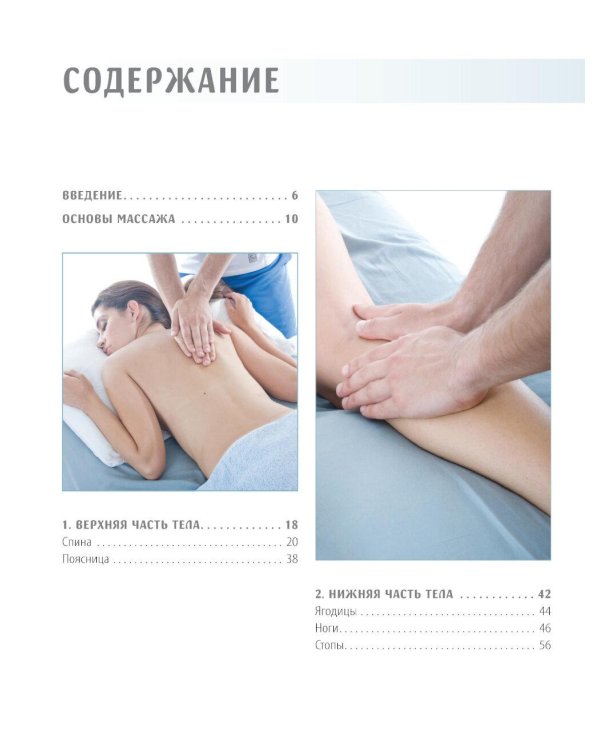 Анатомия массажа. Основы массажа нижней и верхней части тела с анатомическими иллюстрациями