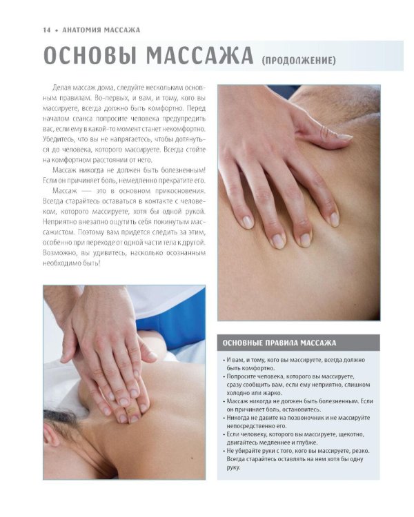 Анатомия массажа. Основы массажа нижней и верхней части тела с анатомическими иллюстрациями