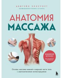 Анатомия массажа. Основы массажа нижней и верхней части тела с анатомическими иллюстрациями