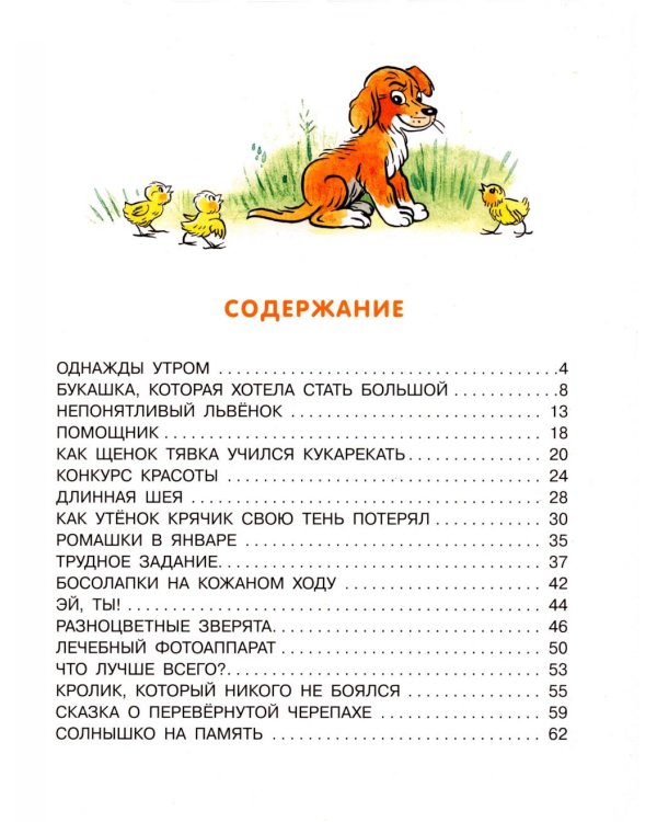Дополнительное изображение книги «Разноцветные зверята: сказки»