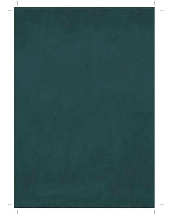 Алиса в Зазеркалье