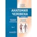 Анатомия человека: Учебник. В 2 т. Т. 1. 5-е изд., доп. и перераб