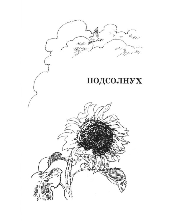 Веселое лето: стихотворения и сказки