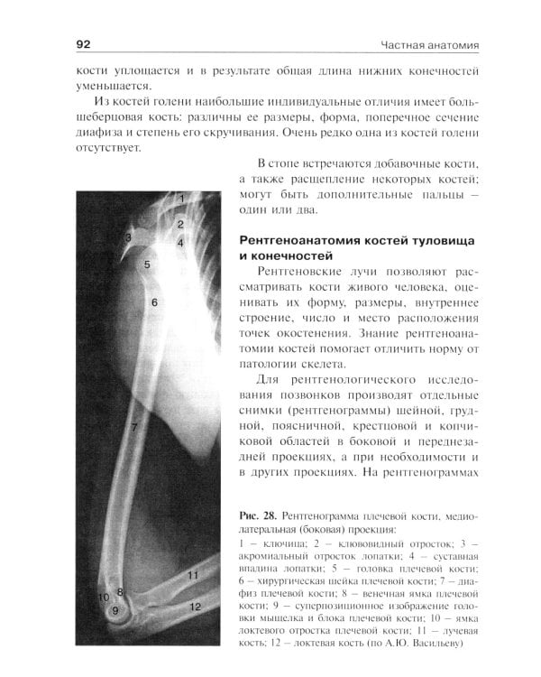 Анатомия человека: Учебник. В 2 т. Т. 1. 5-е изд., доп. и перераб