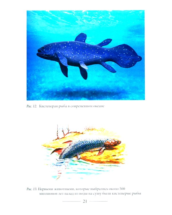 Куда идет человечество?