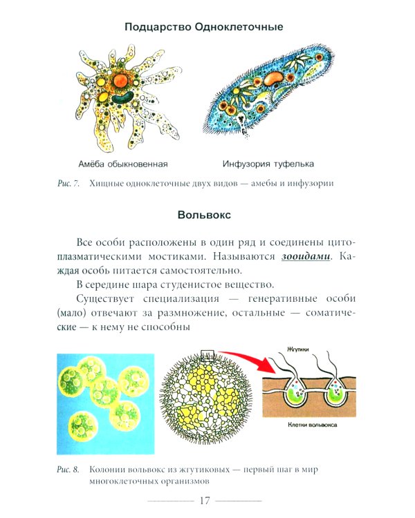 Куда идет человечество?
