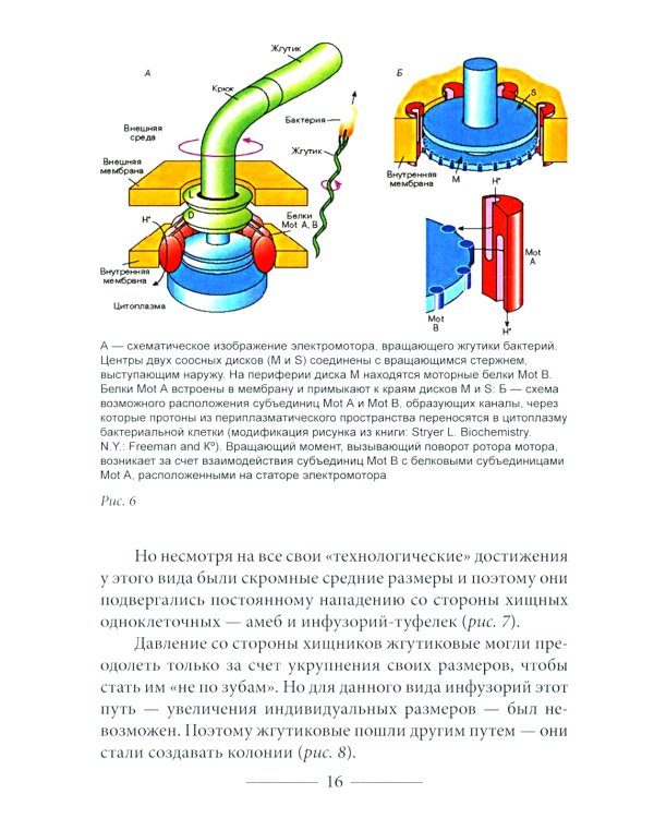 Куда идет человечество?