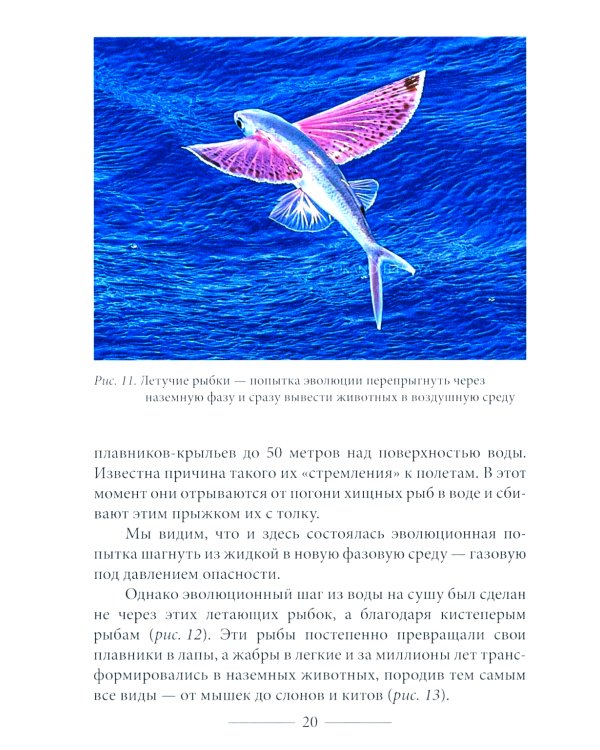 Куда идет человечество?