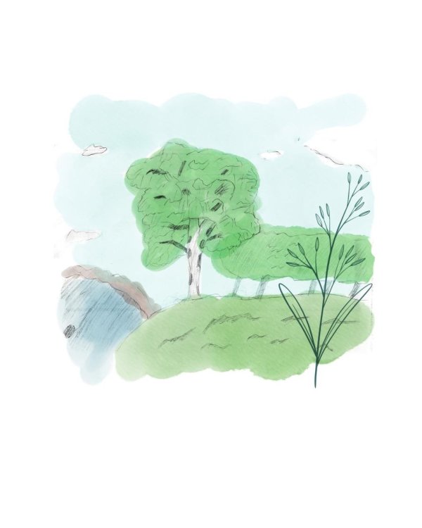 История вокруг меня