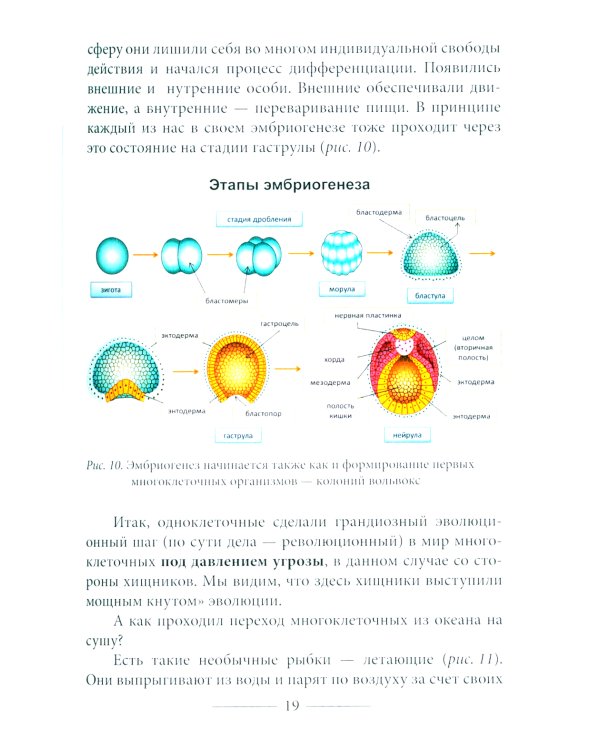 Куда идет человечество?