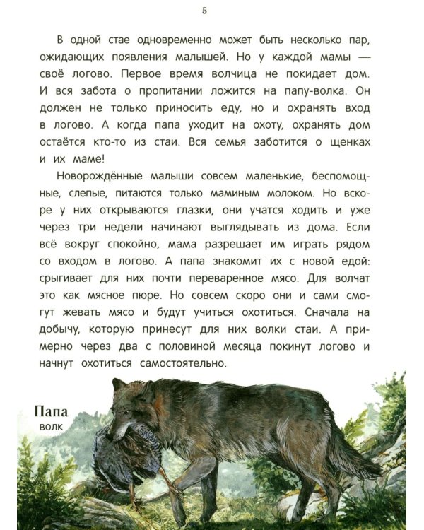 Дополнительное изображение книги «Лисенок? Щенок! Лесные семьи: факты и игры»