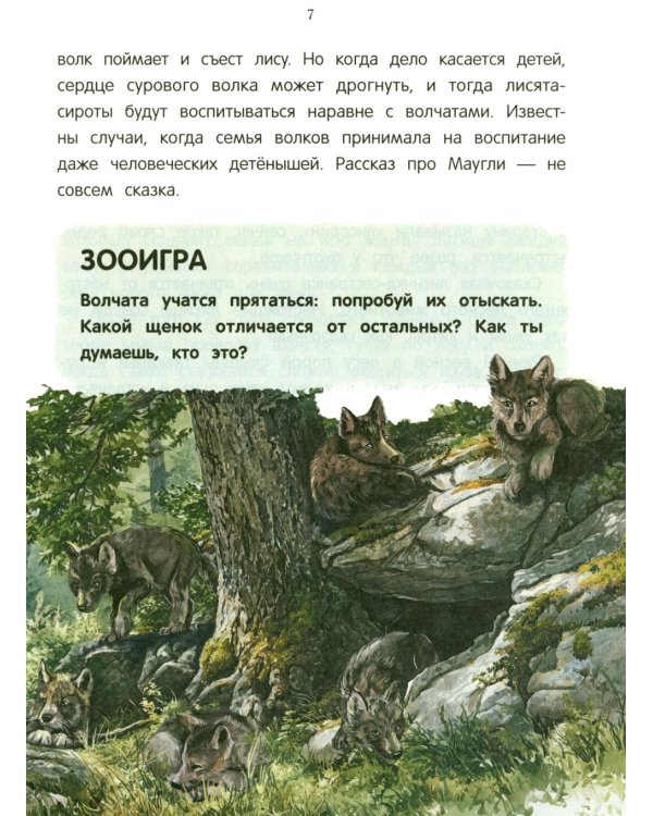 Дополнительное изображение книги «Лисенок? Щенок! Лесные семьи: факты и игры»