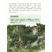 Дополнительное изображение книги «Лисенок? Щенок! Лесные семьи: факты и игры»