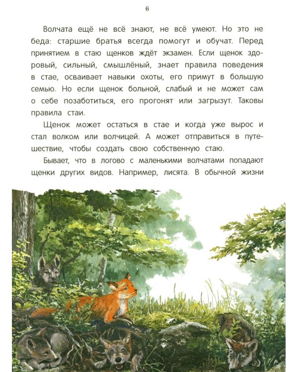 Дополнительное изображение книги «Лисенок? Щенок! Лесные семьи: факты и игры»