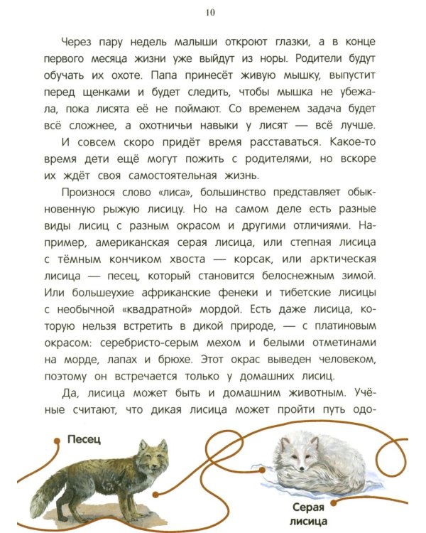 Дополнительное изображение книги «Лисенок? Щенок! Лесные семьи: факты и игры»