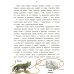 Дополнительное изображение книги «Лисенок? Щенок! Лесные семьи: факты и игры»