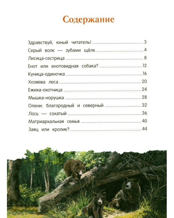 Дополнительное изображение книги «Лисенок? Щенок! Лесные семьи: факты и игры»