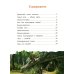 Дополнительное изображение книги «Лисенок? Щенок! Лесные семьи: факты и игры»