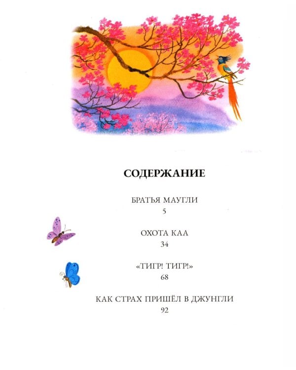 Дополнительное изображение книги «Приключения Тома Сойера + Маугли (комплект из 2-х книг)»