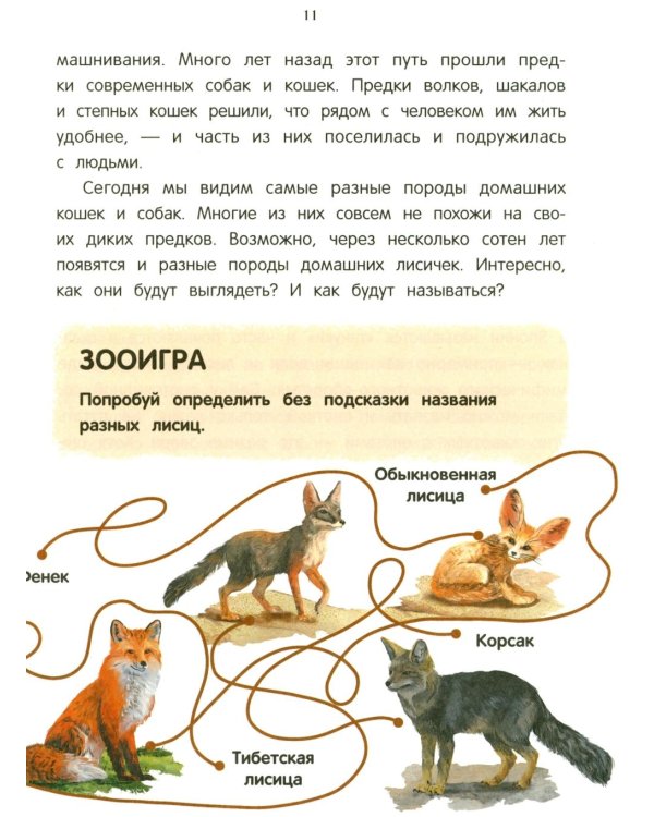 Дополнительное изображение книги «Лисенок? Щенок! Лесные семьи: факты и игры»