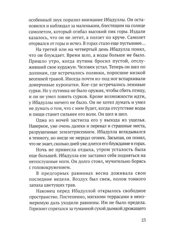 Возвращение Ибадуллы