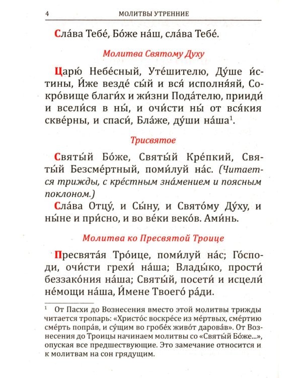 Молитвослов: крупным шрифтом (Божья матерь с младенцем)