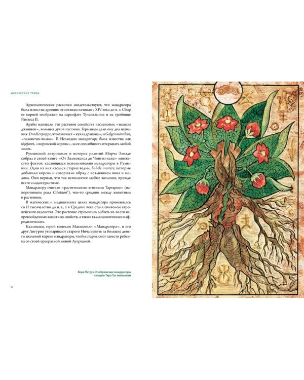 Викка. Зеленая магия, растения и ритуалы