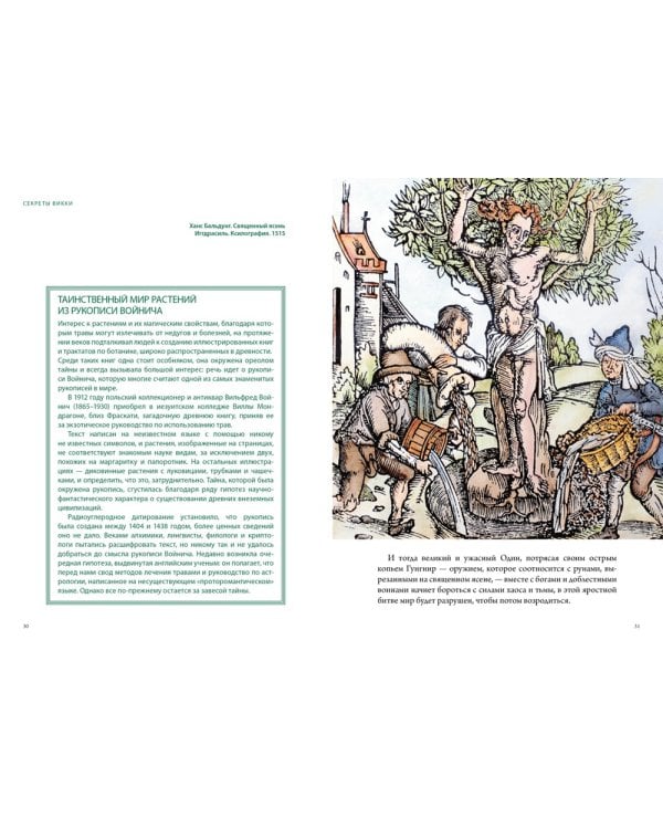 Викка. Зеленая магия, растения и ритуалы