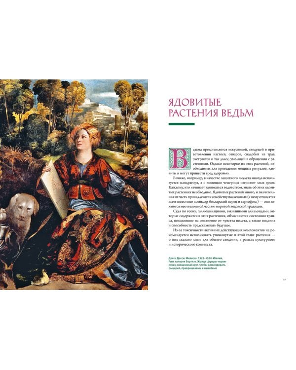 Викка. Зеленая магия, растения и ритуалы