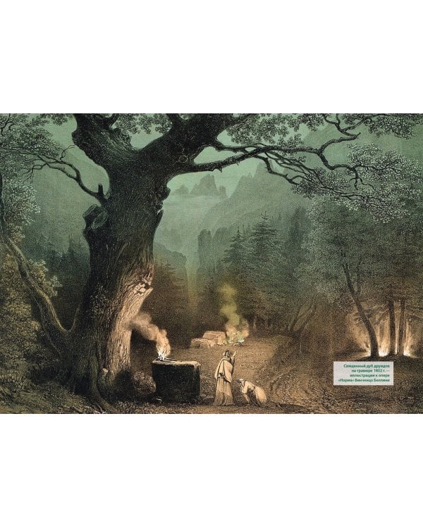 Викка. Зеленая магия, растения и ритуалы