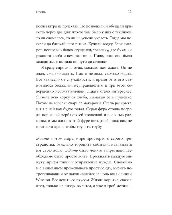 Степь: роман. 2-е изд