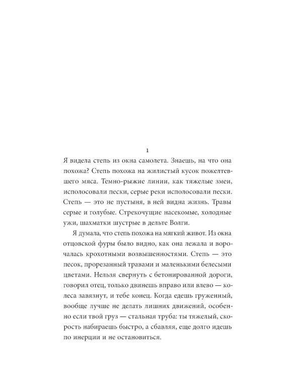 Степь: роман. 2-е изд