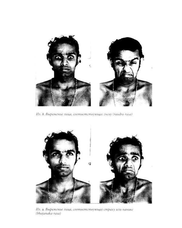 История эмоций. 2-е изд