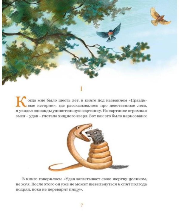 Дополнительное изображение книги «Маленький принц: повесть-сказка»