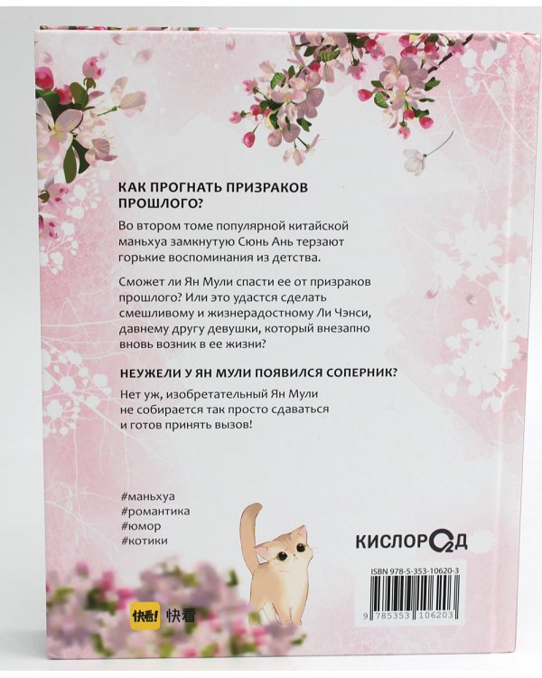 Когда параллельные пересекутся. Т. 2: графический роман