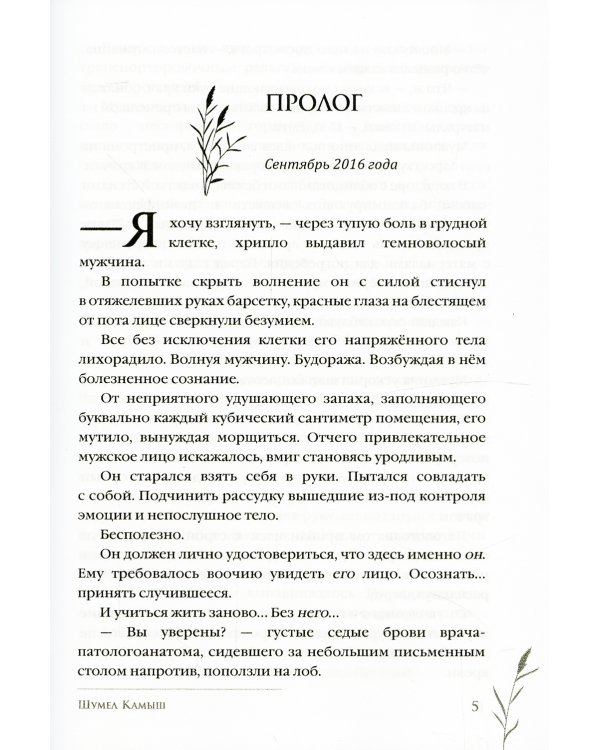 Шумел Камыш