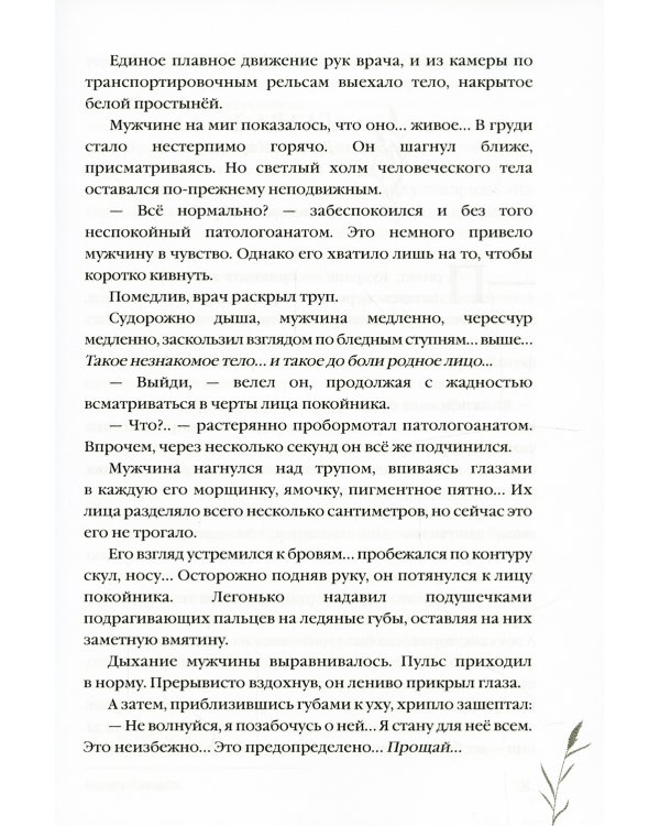 Шумел Камыш