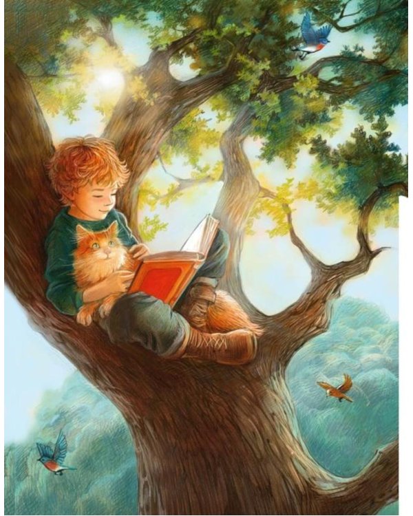 Дополнительное изображение книги «Маленький принц: повесть-сказка»