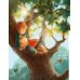 Дополнительное изображение книги «Маленький принц: повесть-сказка»