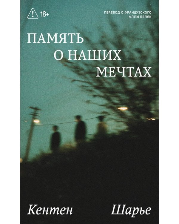 Дополнительное изображение книги «Память о наших мечтах»