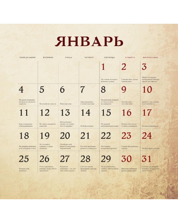 Дополнительное изображение книги «Подсказки мудрого кота на каждый день. Календарь на 2027 год»