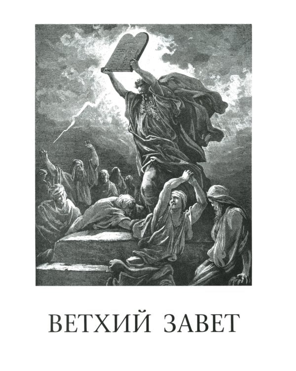 Библия. Книги Священного Писания Ветхого и Нового Завета. Крупный шрифт (золот.тиснен.)