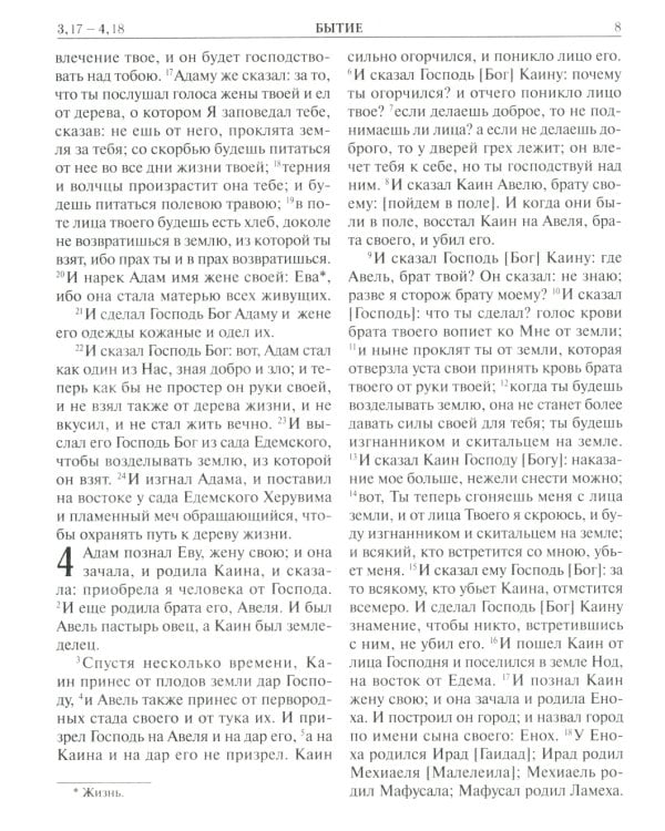 Библия. Книги Священного Писания Ветхого и Нового Завета. Крупный шрифт (золот.тиснен.)