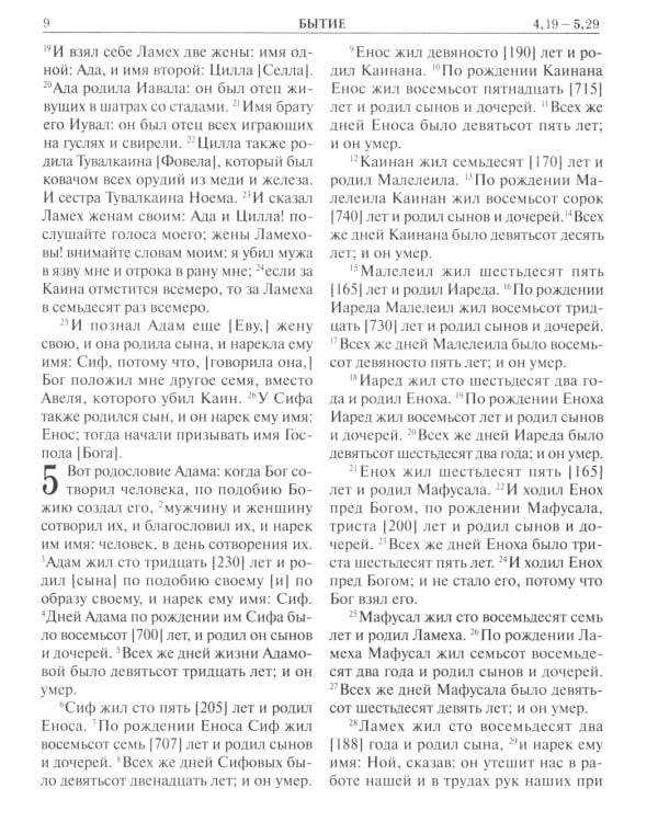 Библия. Книги Священного Писания Ветхого и Нового Завета. Крупный шрифт (золот.тиснен.)