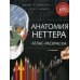 Анатомия Неттера: атлас-раскраска. 2-е изд