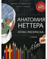 Анатомия Неттера: атлас-раскраска. 2-е изд