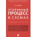 Уголовный процесс в схемах: Учебное пособие