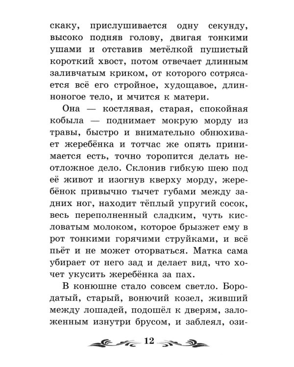 Дополнительное изображение книги «Изумруд: рассказы»
